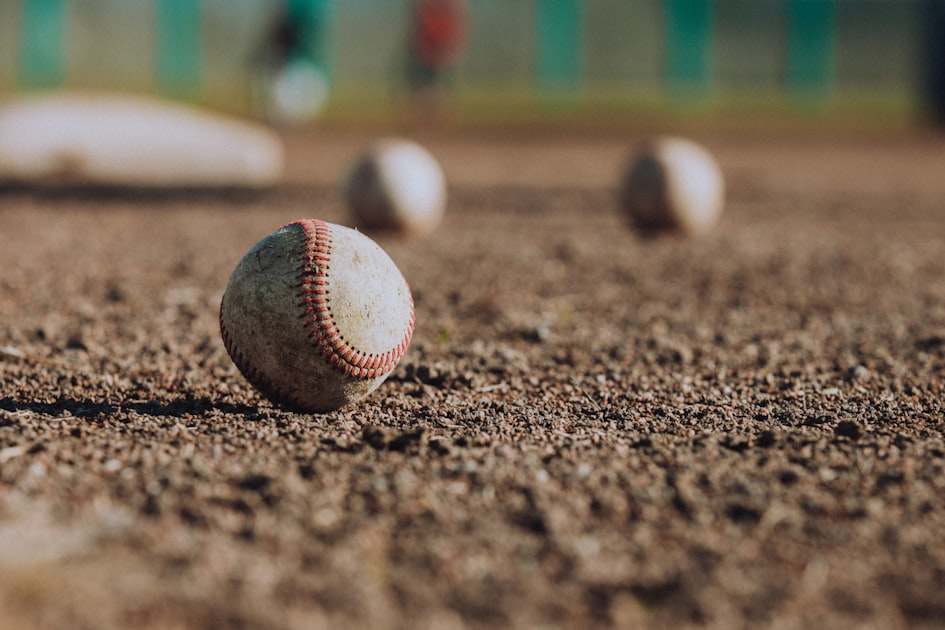 Franchise Potential: A Bright Future